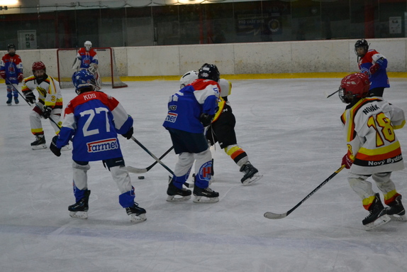 MŽ x NAC 10.01.2026 17