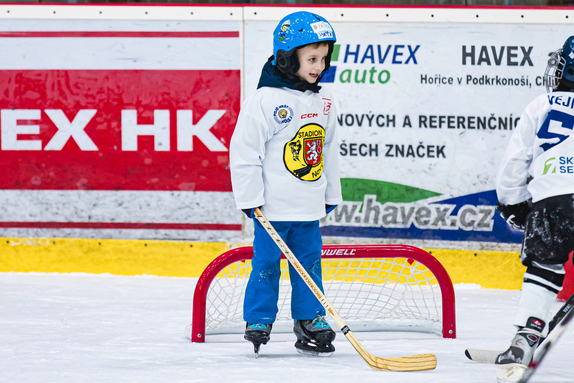 Týden hokeje 23.01.2026 2