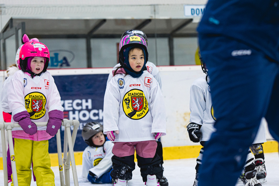Týden hokeje 23.01.2026 3