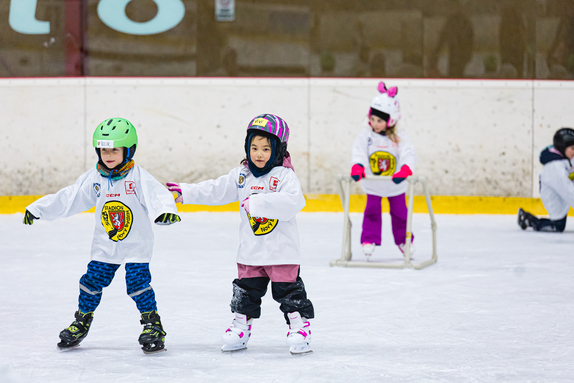 Týden hokeje 23.01.2026 6