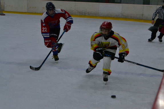 SŽ x RYC 14.02.2026 15