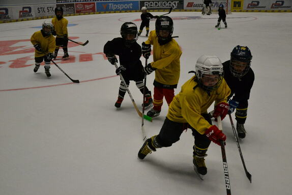 3. den - 31.07.2024 41