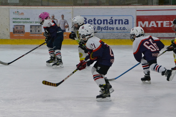 1. třída x PDY 15.02.2026 8