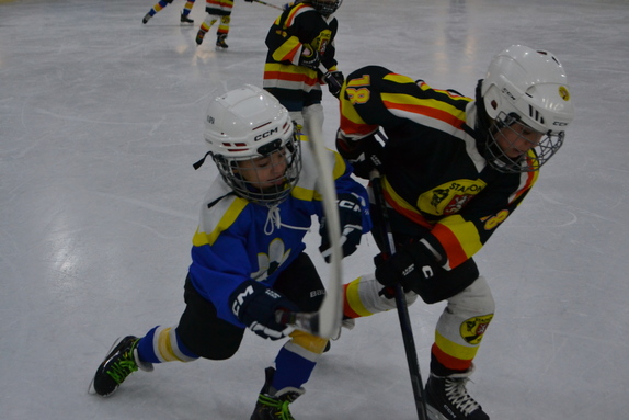 2. třída x NME 15.02.2026 4