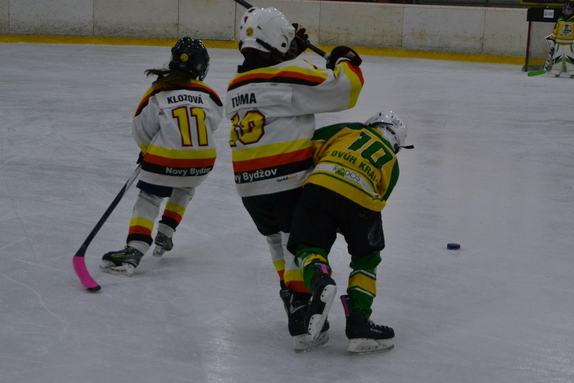 2. třída x DVK 01.03.2026 17