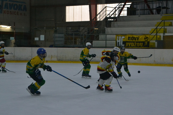 SŽ x DVK 15.03.2026 3