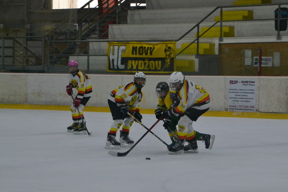 SŽ x DVK 15.03.2026 2