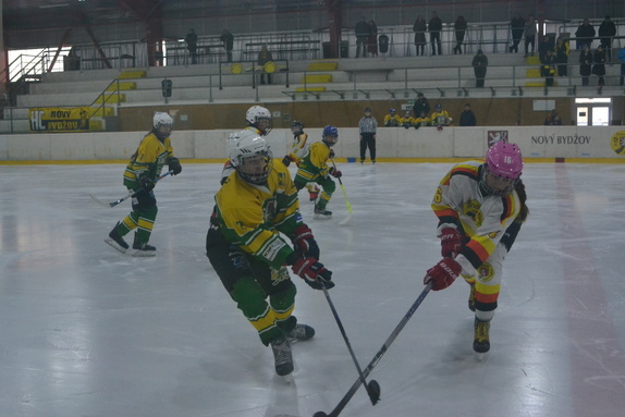 SŽ x DVK 15.03.2026 12