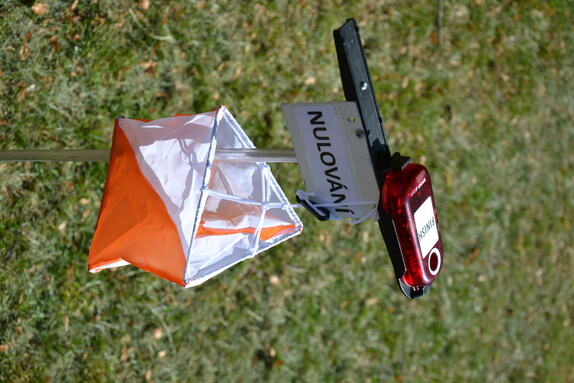 4. den - 01.08.2024 40