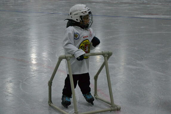 Týden hokeje 27.09.2024 19