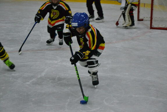 Týden hokeje 27.09.2024 28