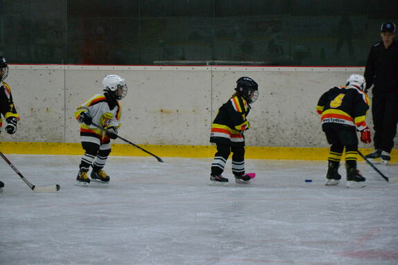 Týden hokeje 27.09.2024 8