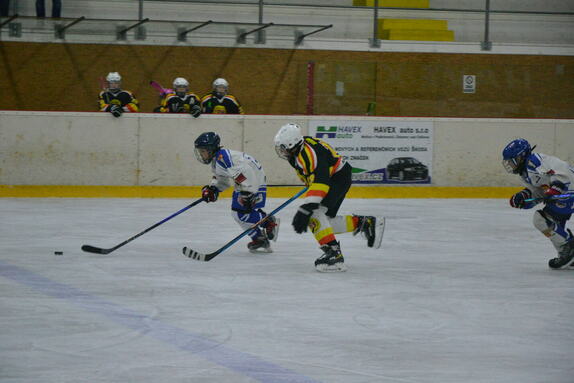 NBY x JAR 19.10.2024 MŽ 31