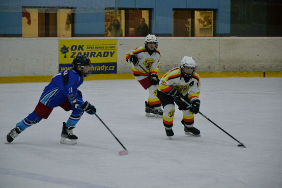 NBY x TRU 18.01.2025 MŽ 30