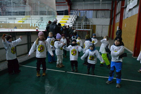 Týden hokeje 24.01.2025 8