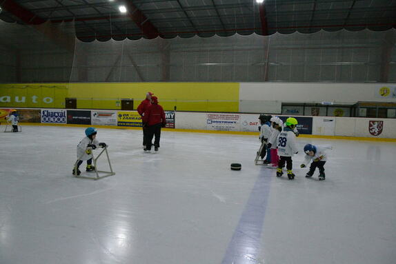 Týden hokeje 24.01.2025 12