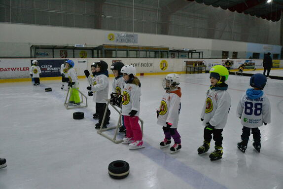 Týden hokeje 24.01.2025 13