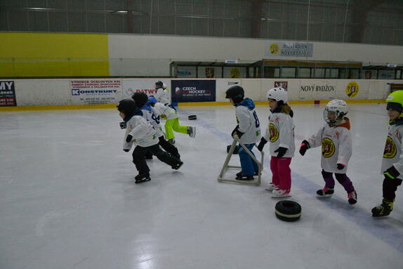 Týden hokeje 24.01.2025 14