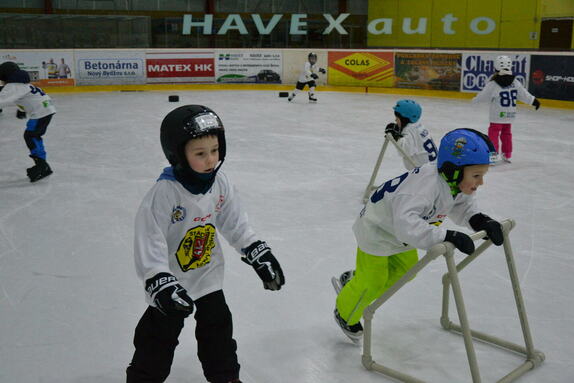 Týden hokeje 24.01.2025 18