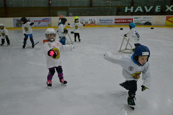 Týden hokeje 24.01.2025 19