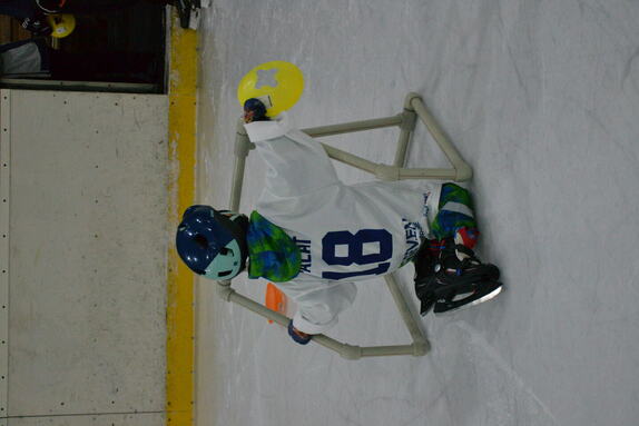 Týden hokeje 24.01.2025 24