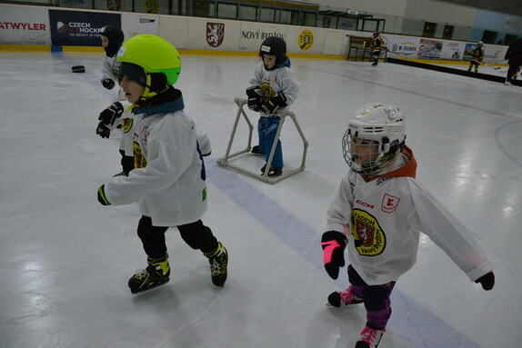 Týden hokeje 24.01.2025 26