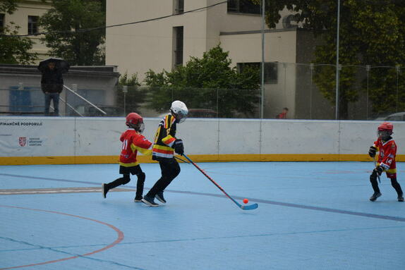 Hokejbal 01.06.2024 8