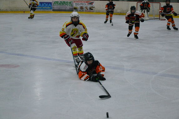 NBY x CTR 16.02.2025 SŽ 37