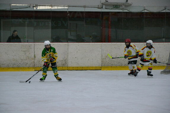 NBY x DVK 02.03.2025 4. TŘÍDA 23