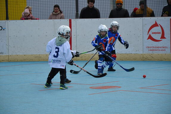 Hokejbal 06.04.2025 27