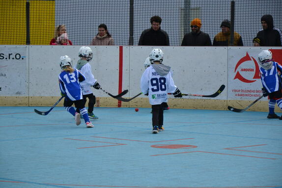 Hokejbal 06.04.2025 29