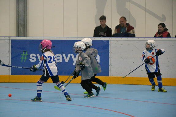 Hokejbal 04.05.2025 5