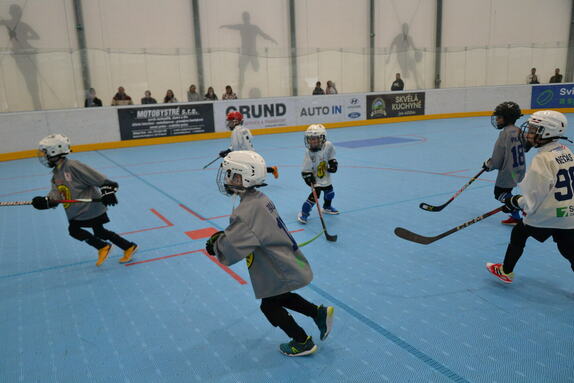 Hokejbal 04.05.2025 28