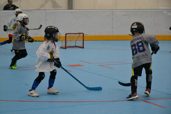 Hokejbal 04.05.2025 31