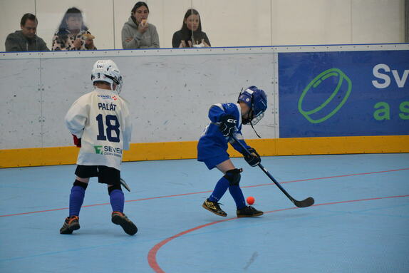 Hokejbal 04.05.2025 17