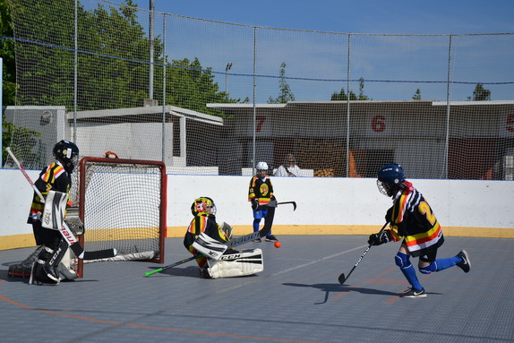 Hokejbal 31.05.2025 5