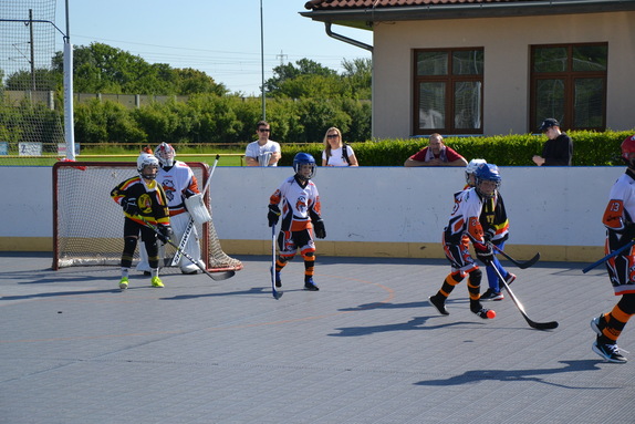 Hokejbal 31.05.2025 19