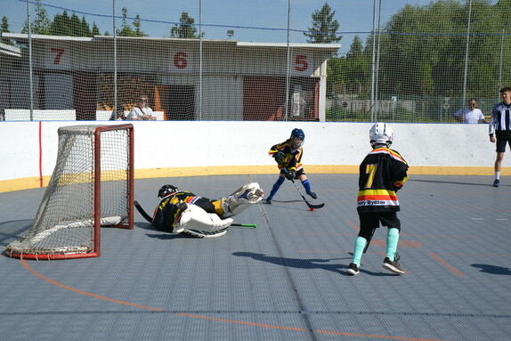 Hokejbal 31.05.2025 21