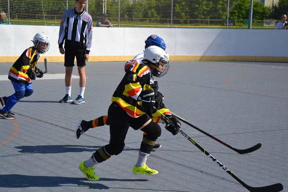 Hokejbal 31.05.2025 12