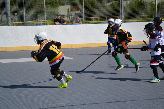 Hokejbal 31.05.2025 1