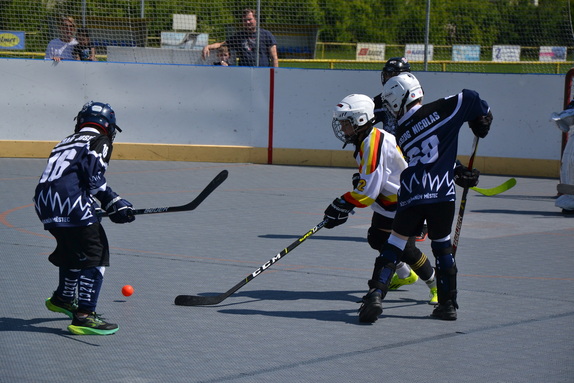 Hokejbal 31.05.2025 22