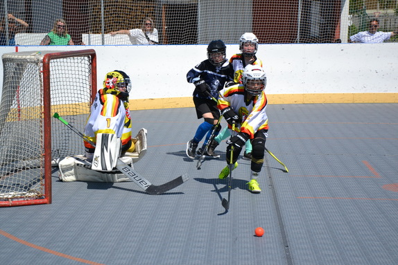 Hokejbal 31.05.2025 1