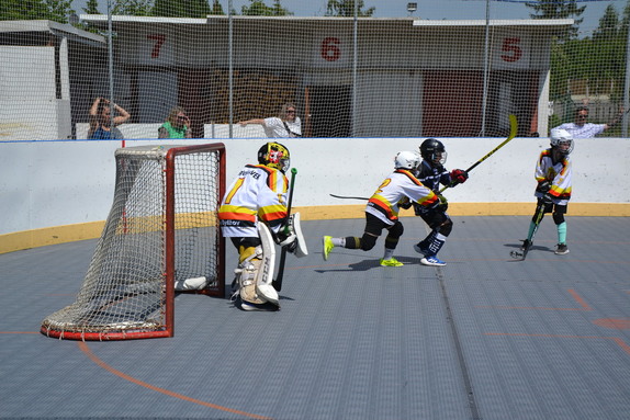 Hokejbal 31.05.2025 4