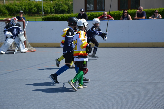 Hokejbal 31.05.2025 17