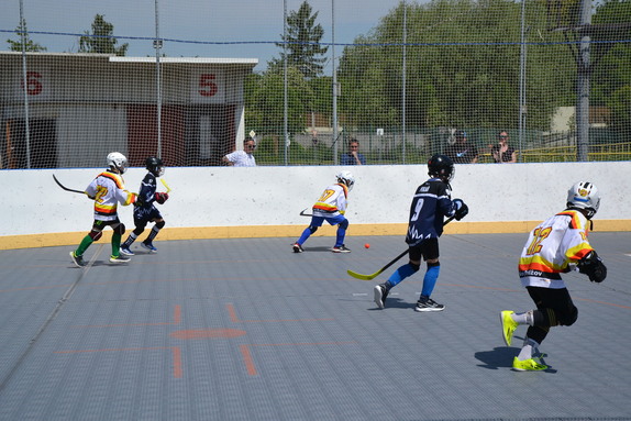 Hokejbal 31.05.2025 19