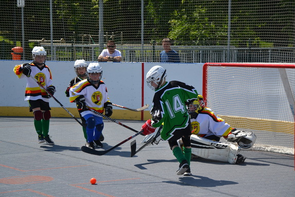 Hokejbal 31.05.2025 1