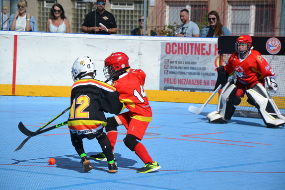 Hokejbal 28.06.2025 3