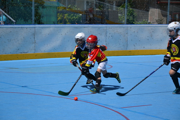 Hokejbal 28.06.2025 21