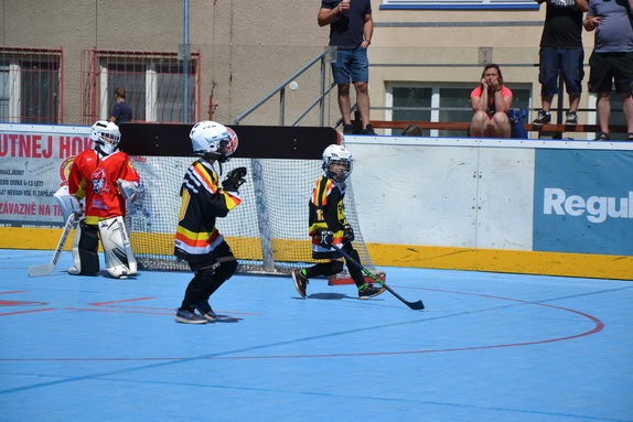 Hokejbal 28.06.2025 4