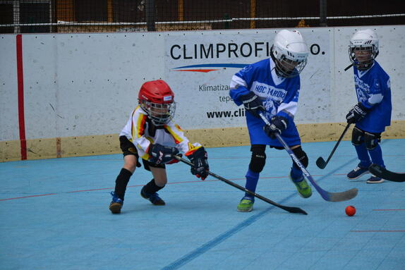 Hokejbal 16.06.2024 3